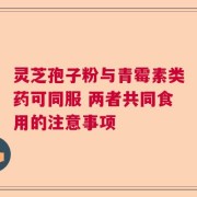 靈芝孢子粉與青霉素類藥可同服 兩者共同食用的注意事項